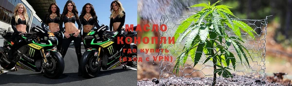 молекула духа Слюдянка