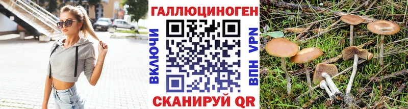 Галлюциногенные грибы Magic Shrooms  Купить закладки  Чегем 